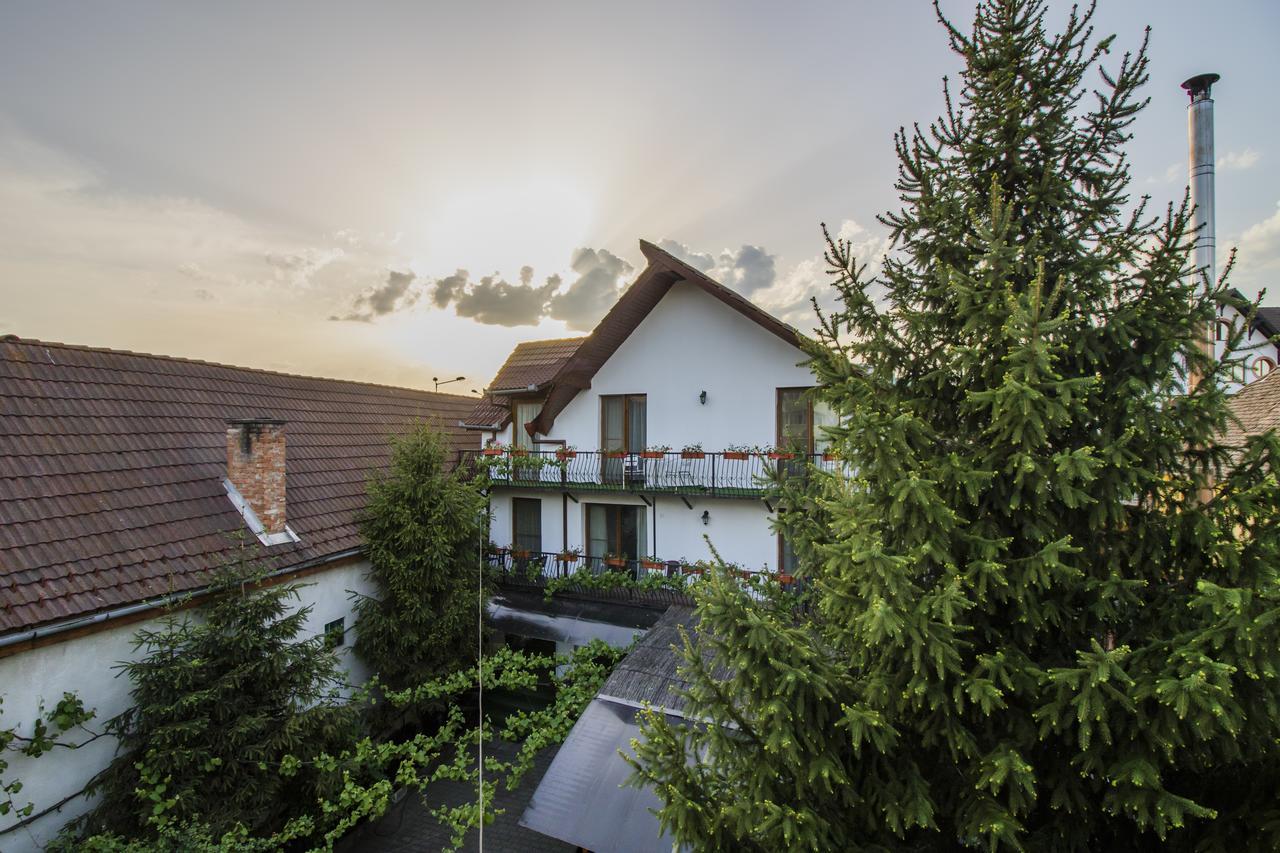 Gasthof Sara Hotel Sibiu Exterior photo